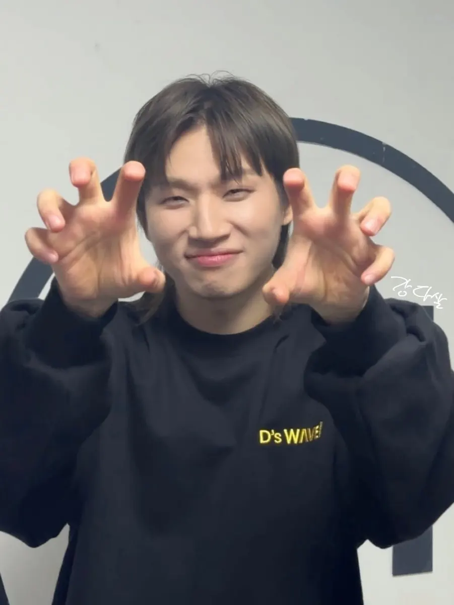 D-LITE（DAESUNG） 3